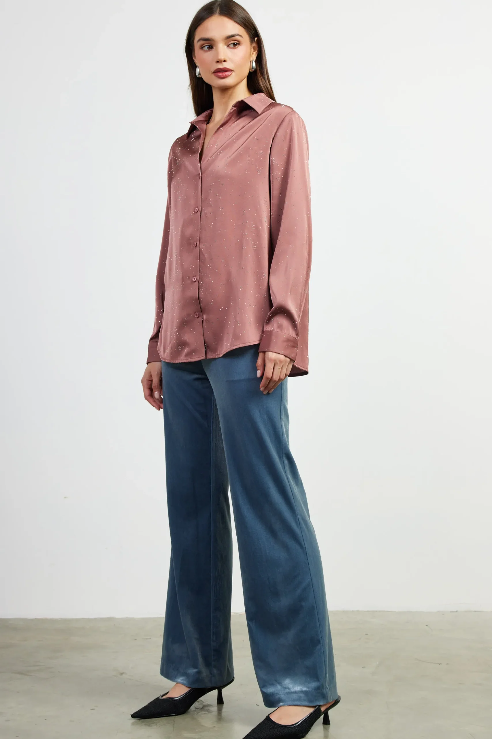 Shimmery Button Down Blouse