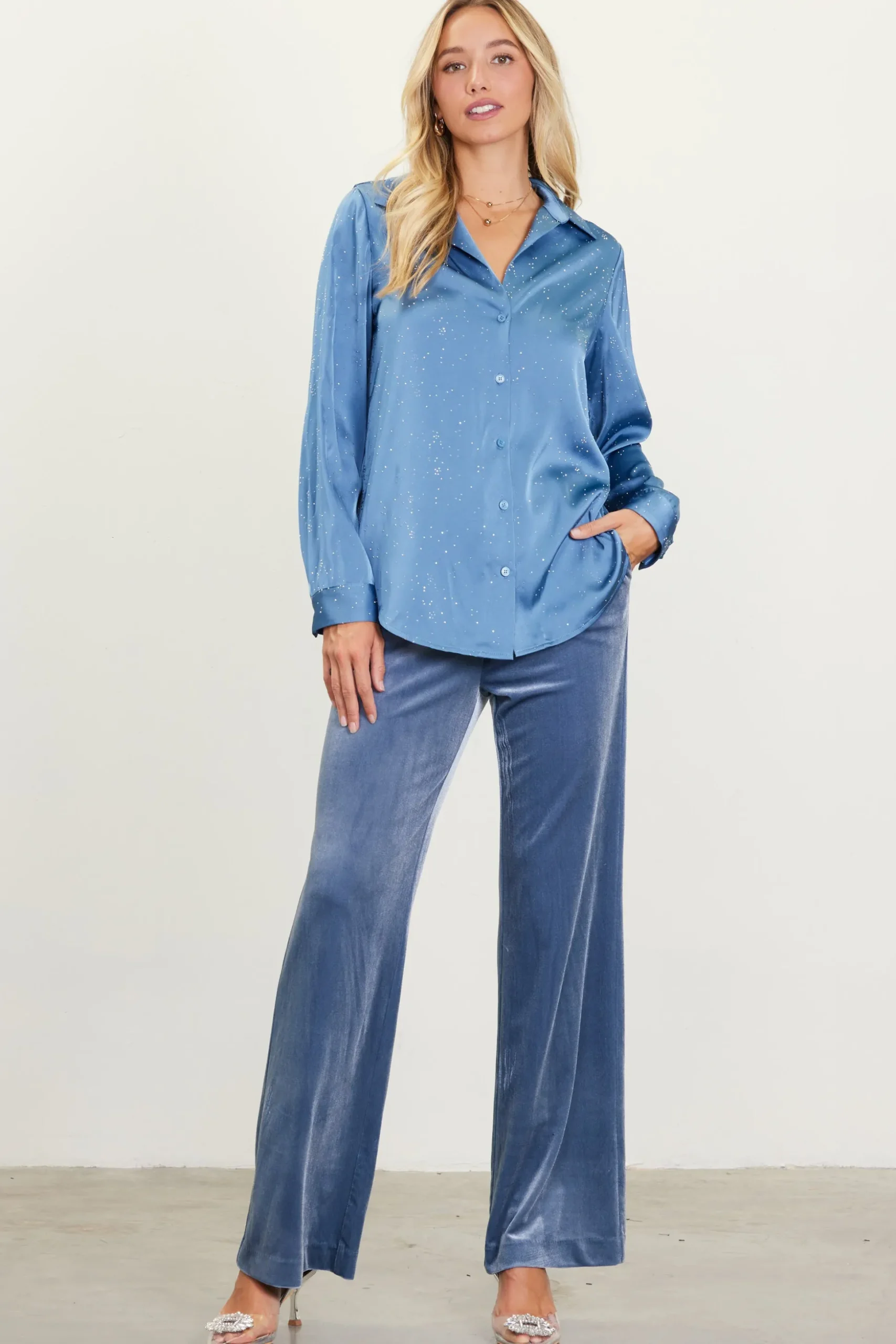 Shimmery Button Down Blouse